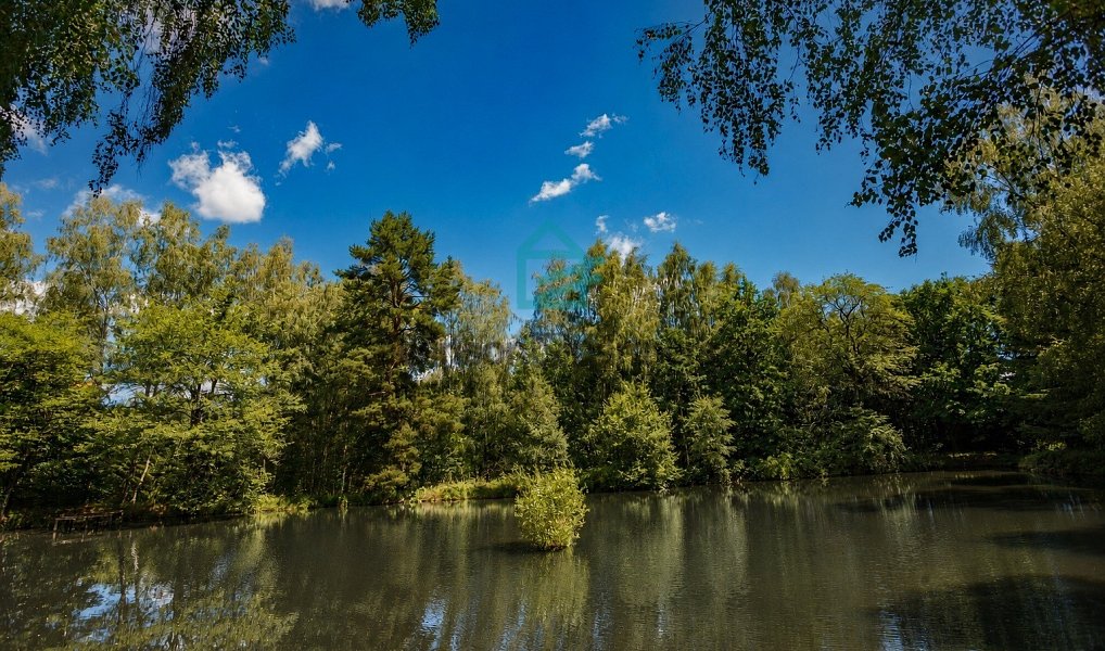 Prodej pozemku 6 805 m², Benešov nad Černou – náhled fotky 7