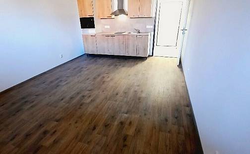 Pronájem bytu 1+kk 31 m², Polepy, okres Litoměřice