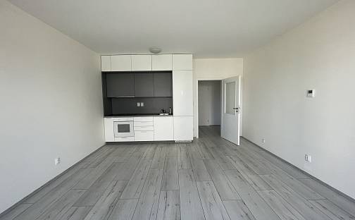 Pronájem bytu 1+kk 36 m², Na Zlaté stoce, České Budějovice - České Budějovice 2