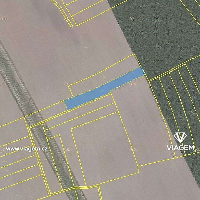 Prodej pole 1 928 m² – fotografie 2