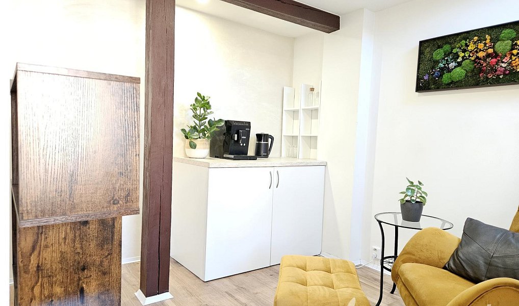 Pronájem bytu 2+kk 35 m², Praha – náhled fotky 12