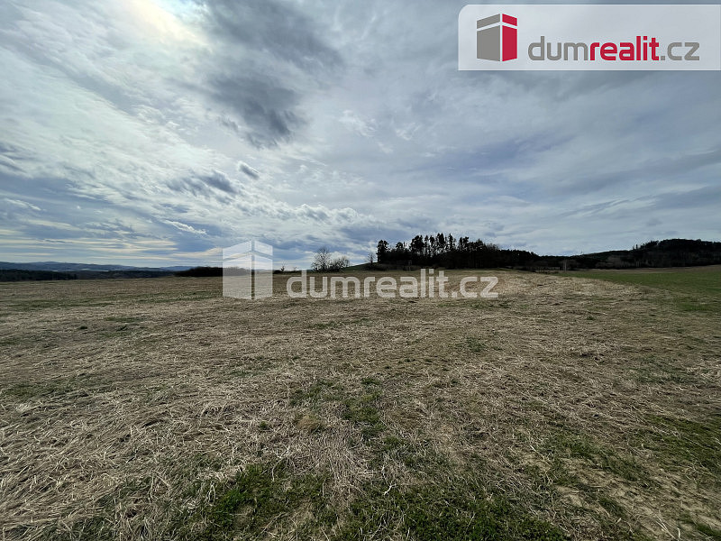 Prodej louky 5 593 m² — photo 4