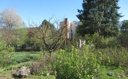 Prodej zahrady 1 392 m², Řezáčova, Brno