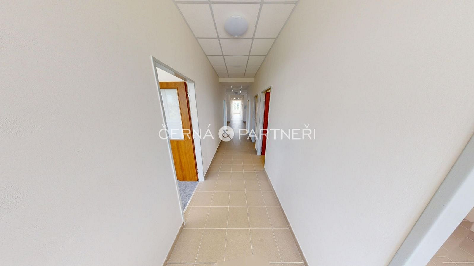Pronájem kanceláře 306 m² — photo 5