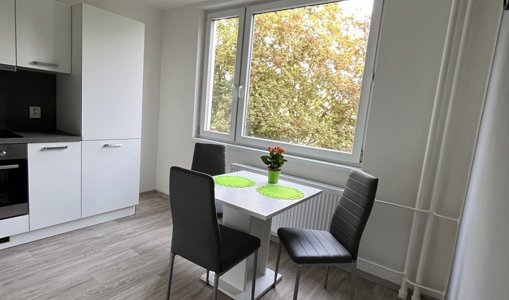Pronájem bytu 2+1 58 m², Přerov – náhled fotky 3