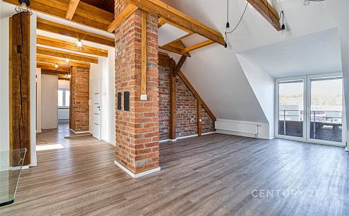 Pronájem bytu 3+kk 90 m², Železničářů, Havířov - Město, okres Karviná