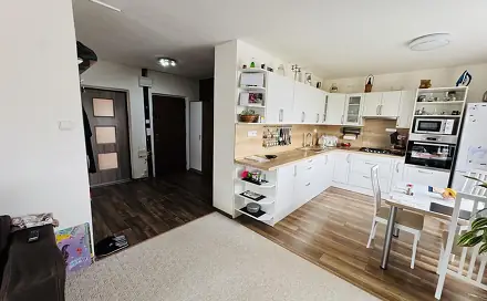 Prodej bytu 3+kk 59 m², Josefa Ševčíka, Most