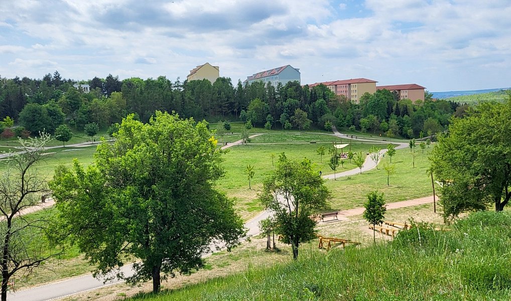 Prodej bytu 3+1 74 m², Brno – náhled fotky 39