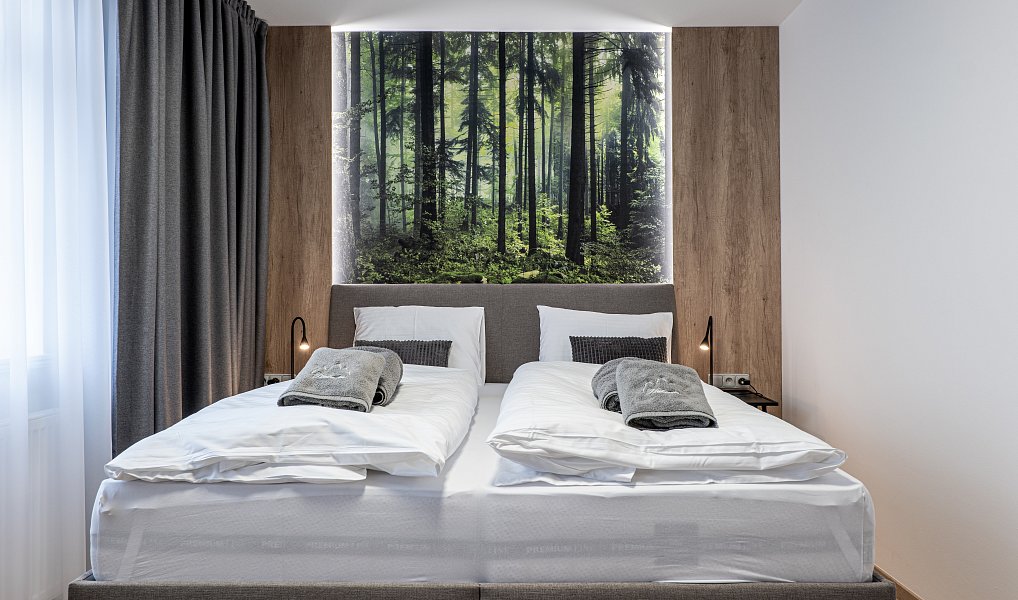Prodej bytu 2+kk 65 m², Karlova Studánka – náhled fotky 29