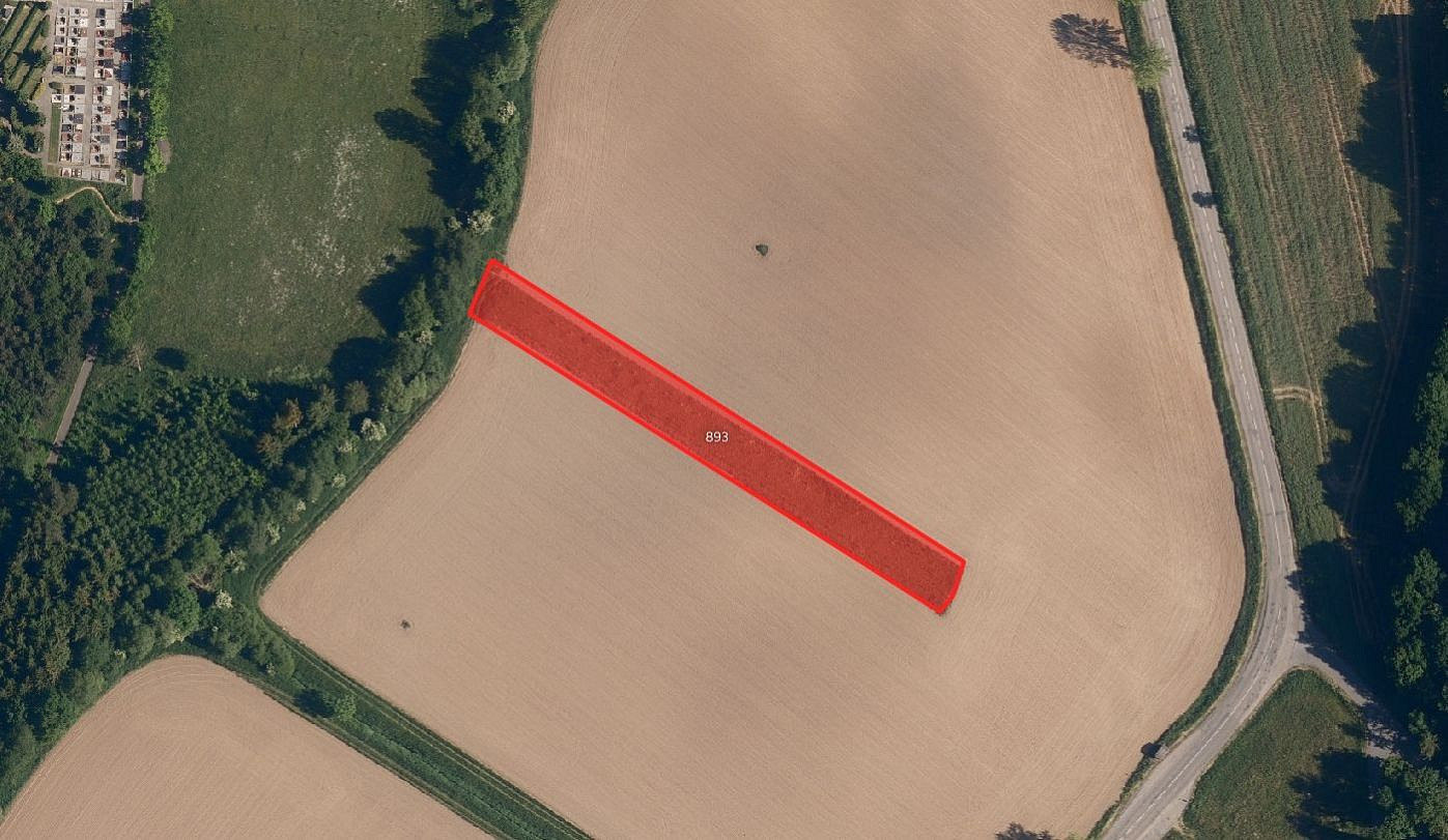 Prodej pole 11 060 m² — photo 3