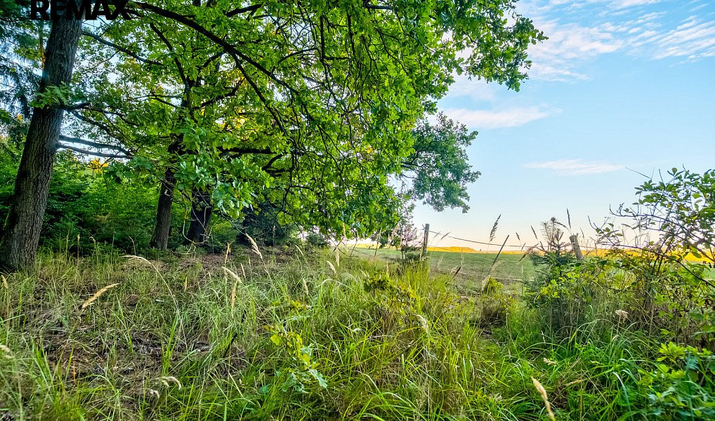 Prodej stavebního pozemku 1 262 m², Albrechtice nad Vltavou – náhled fotky 7