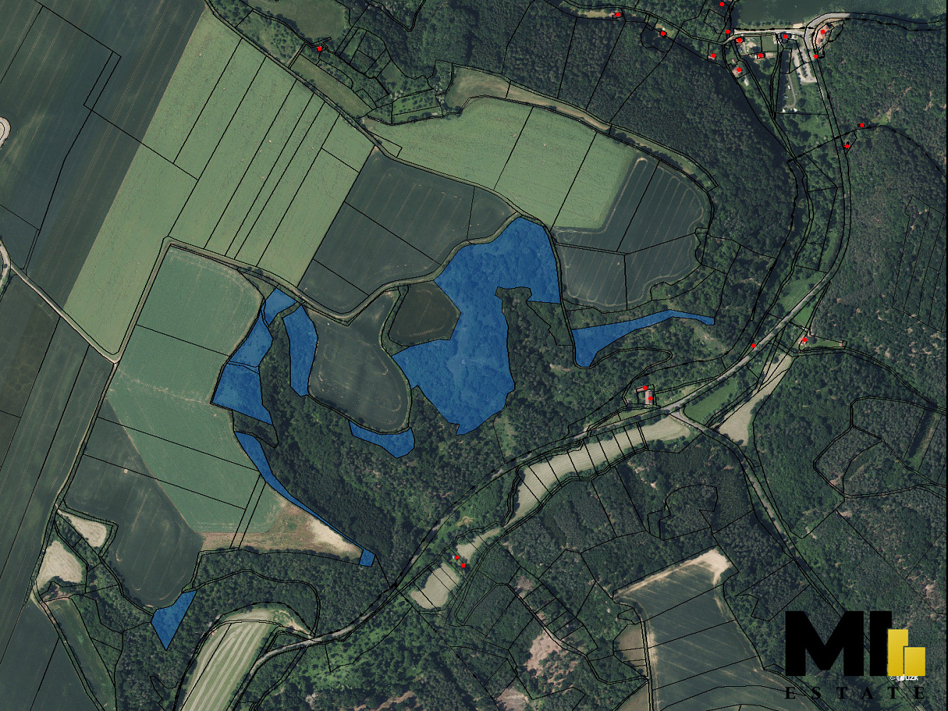 Prodej lesa 103 260 m²
