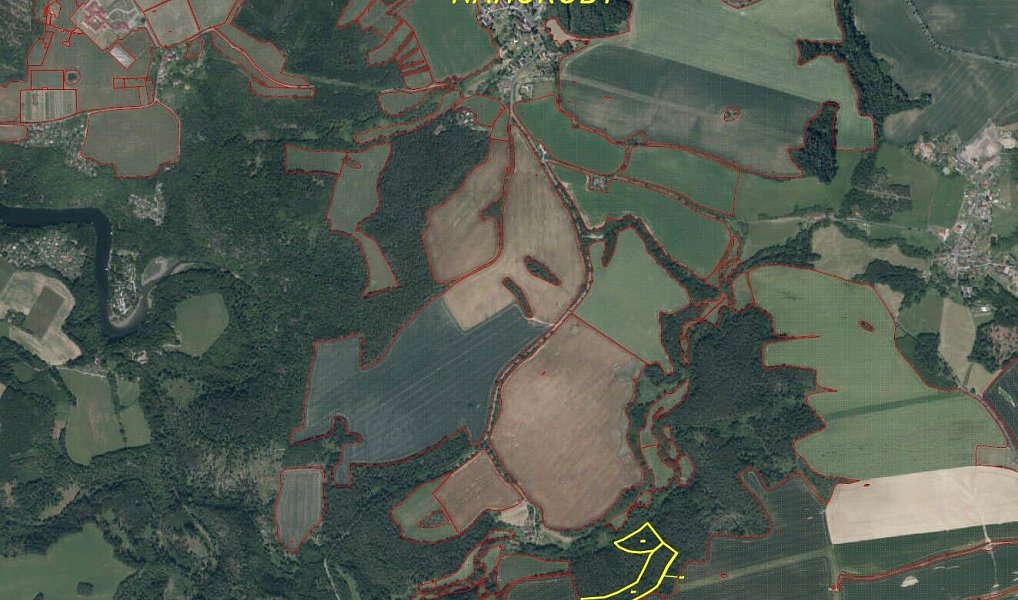 Prodej lesa 28 299 m², Křečovice – náhled fotky 6