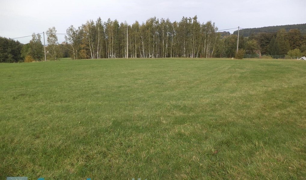 Prodej pozemku 8 122 m², Bílý Potok – náhled fotky 3