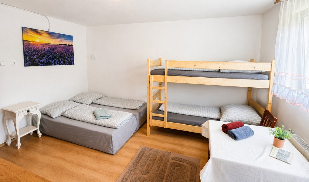 Prodej ubytovacího objektu 442 m², Holčovice – náhled fotky 7