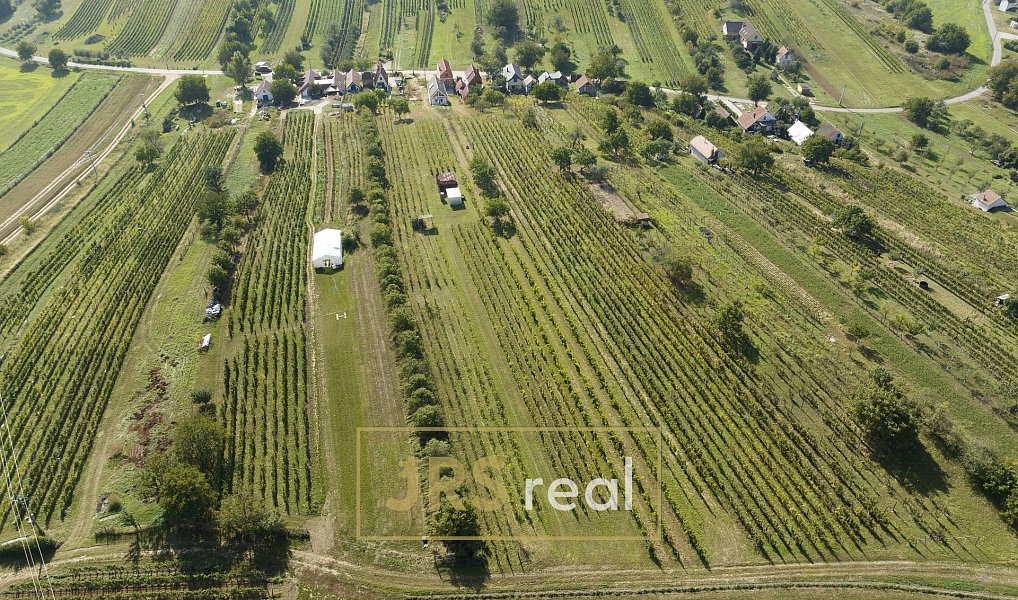 Prodej Vinného sklepa v Mutěnicích pod Dubňanskou horou, pozemek 2401 m2, Mutěnice – náhled fotky 11