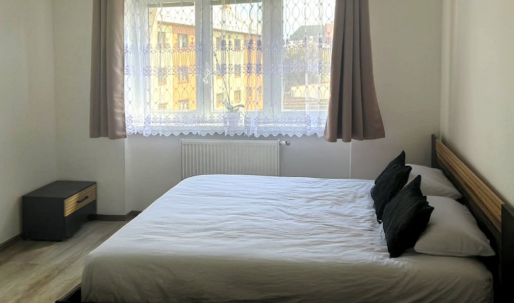 Prodej bytu 2+1 54 m², Havlíčkův Brod – náhled fotky 4