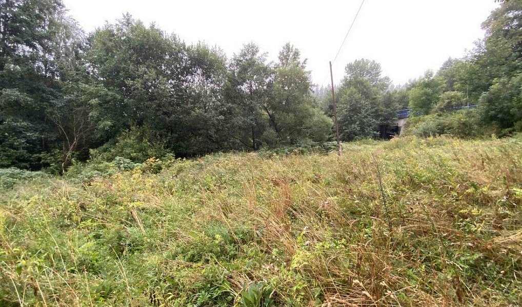Prodej pozemku 1 758 m², Andělská Hora – náhled fotky 5