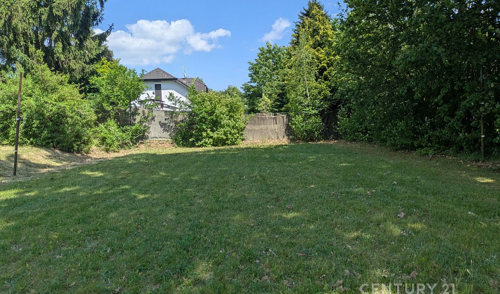 Prodej stavebního pozemku 2 485 m², Jesenice – náhled fotky 6