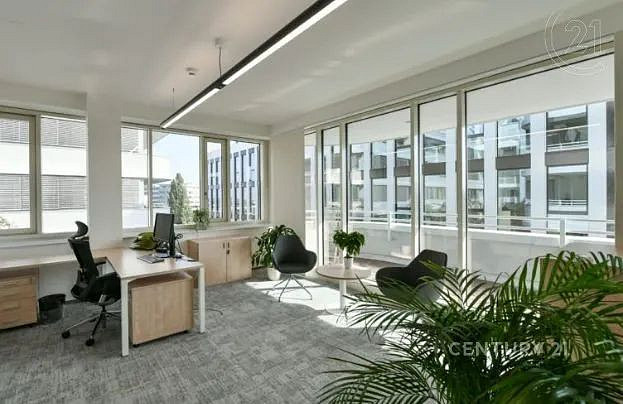 Pronájem kanceláře 478 m² — photo 5