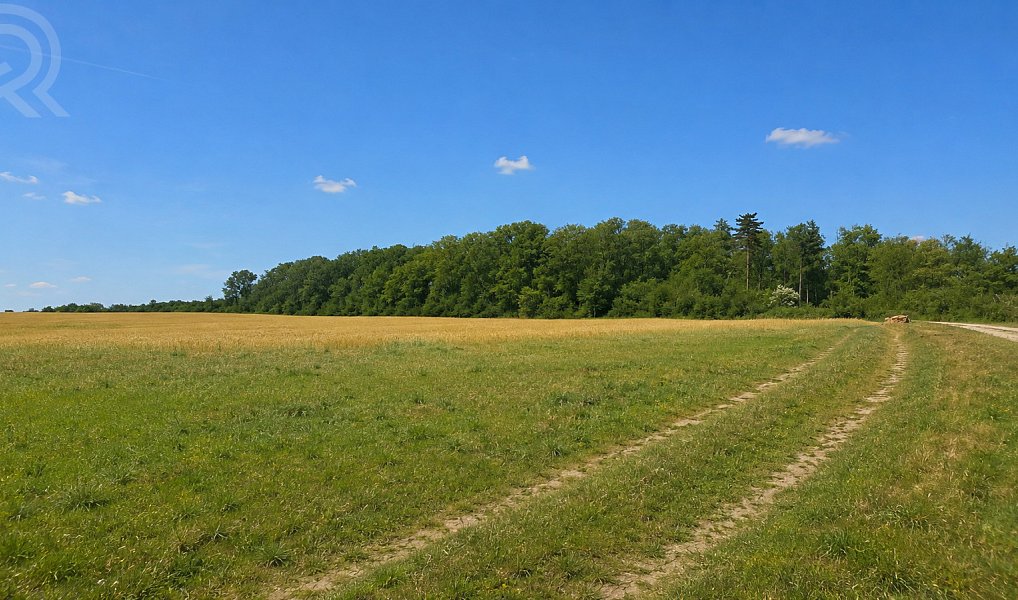 Prodej pole 60 172 m², Vonoklasy – náhled fotky 7