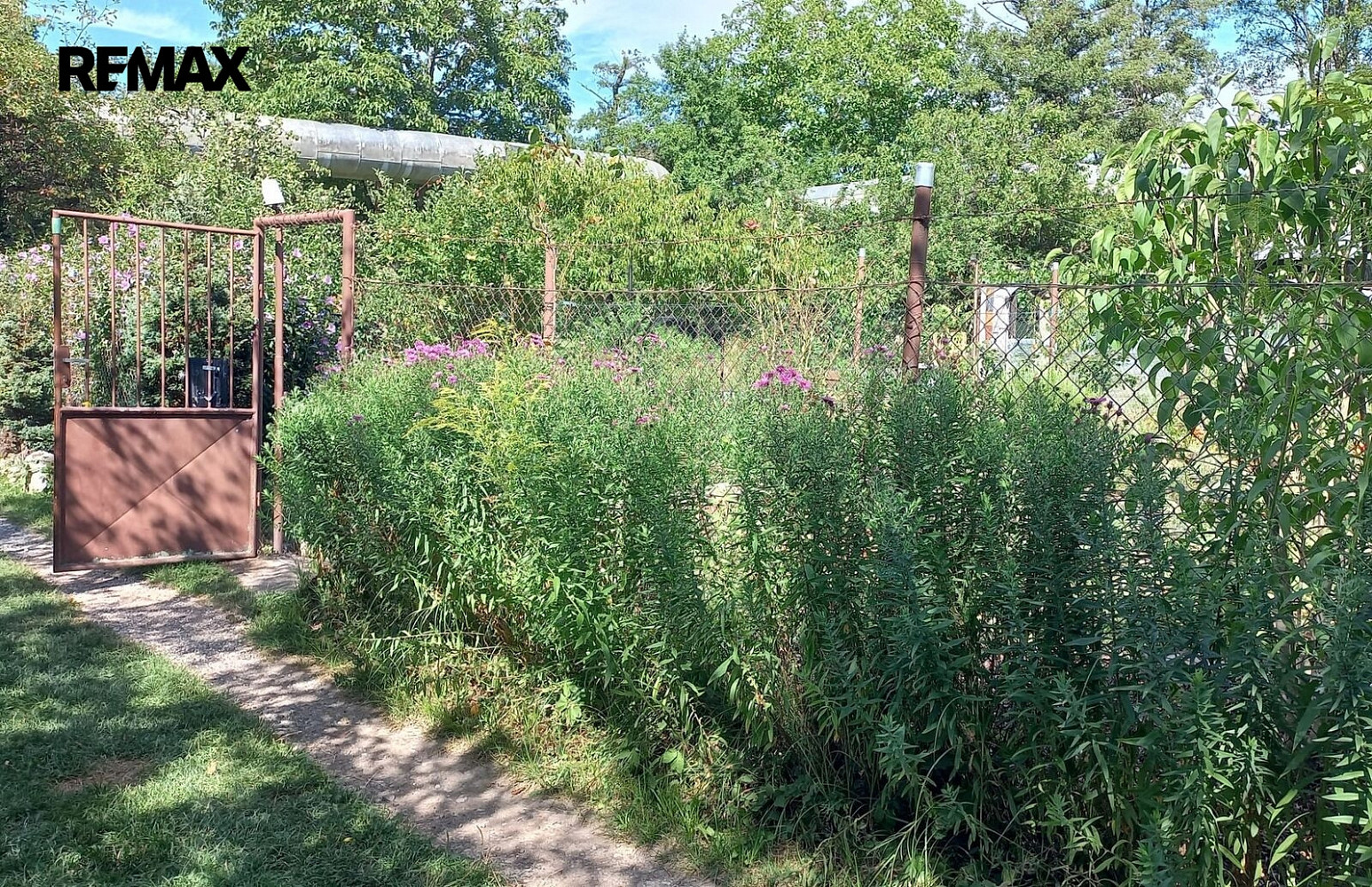 Prodej chaty/chalupy 25 m² s pozemkem 15 m² – fotografie 5