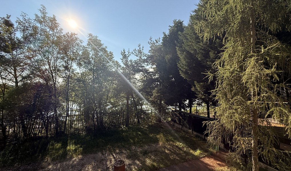 Prodej chaty/chalupy 180 m² s pozemkem 694 m², Račice – náhled fotky 18