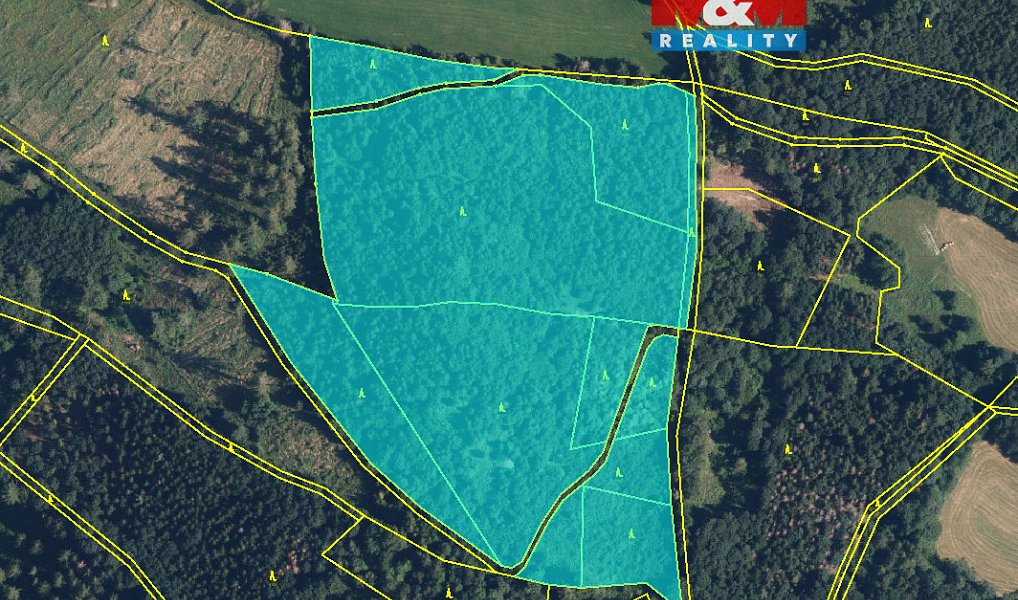 Prodej lesa 19 245 m², Bratrušov – fotka 1 z 3