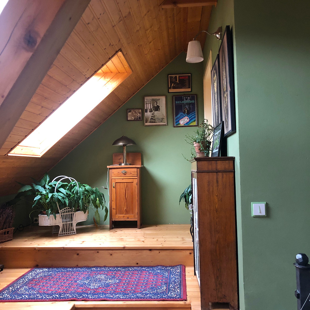 Prodej domu 241 m² s pozemkem 2 055 m² — photo 4