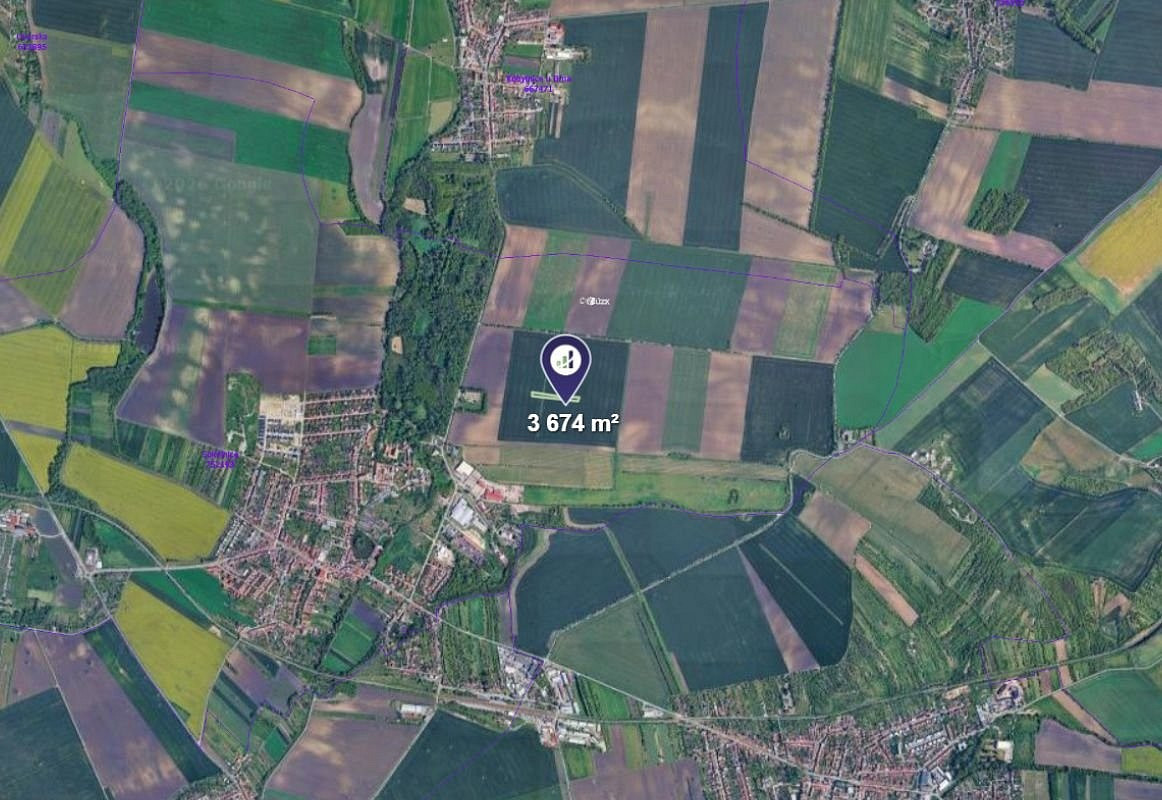 Prodej pole 3 674 m² – fotografie 2