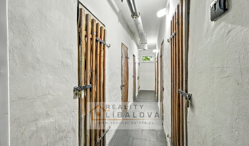 Pronájem bytu 1+kk 20 m², Ústí nad Labem – náhled fotky 21