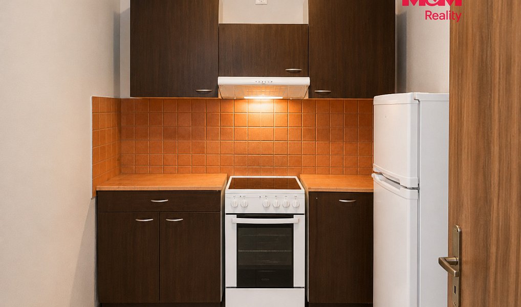Prodej nájemního domu, činžáku 230 m², Dobrovice – náhled fotky 4