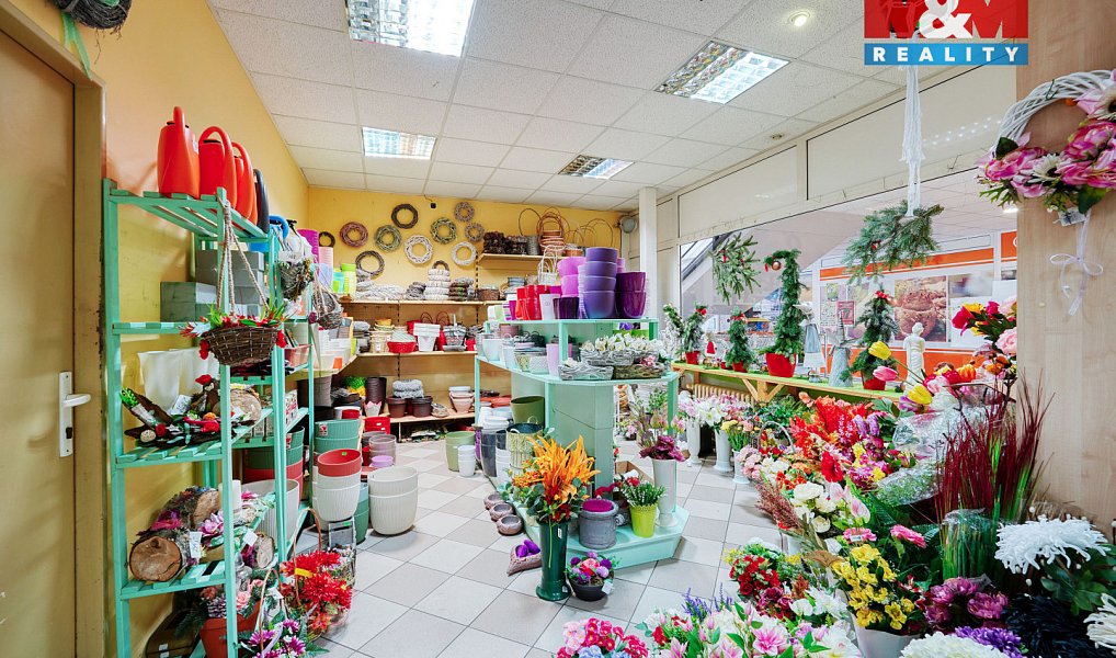 Pronájem obchodních prostor 133 m², Třemošná – náhled fotky 13