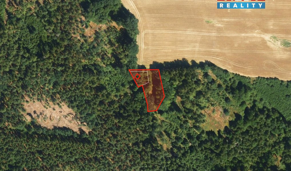 Prodej lesa 1 757 m², Cheb – náhled fotky 12
