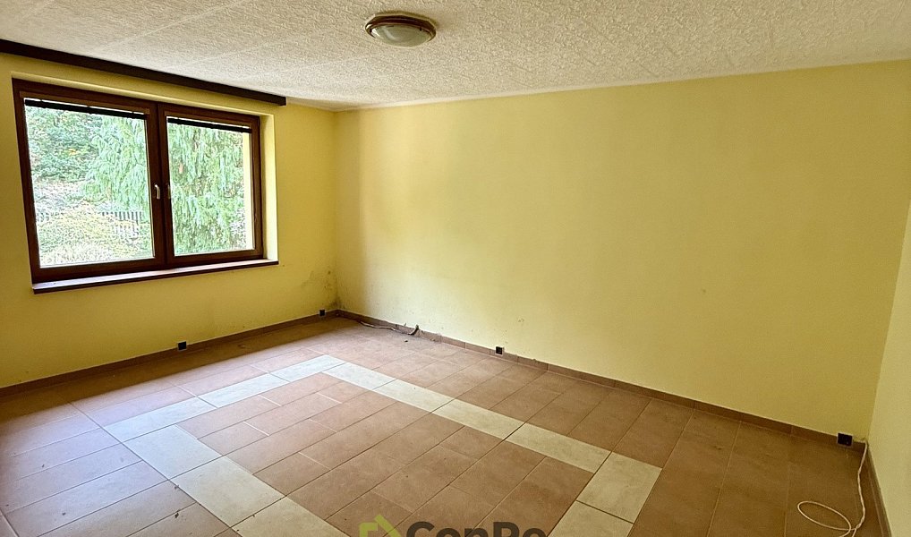 Prodej domu 297 m² s pozemkem 2 452 m², Provodín – náhled fotky 11