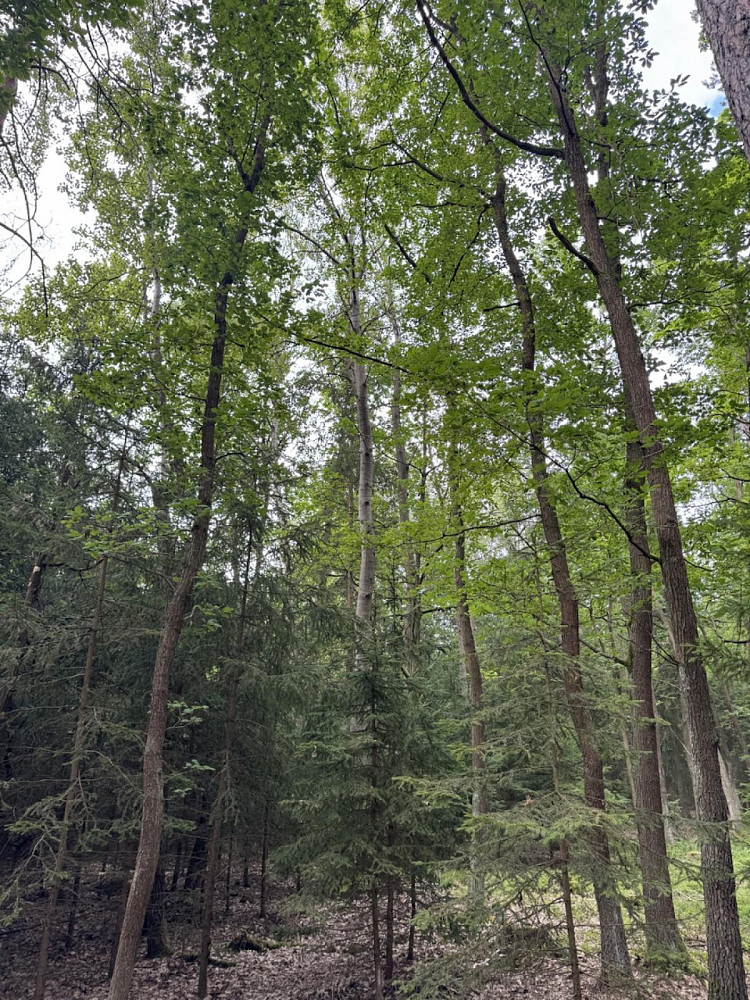 Fotka 6 z 16