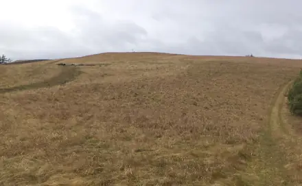 Dražba louky 25 345 m², Letovice
