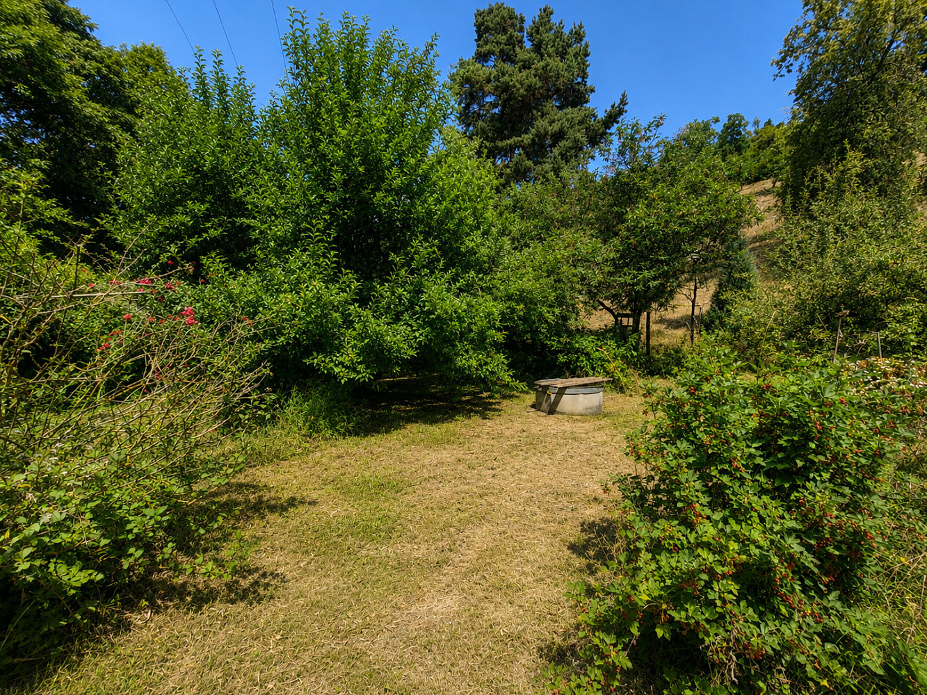 Prodej chaty/chalupy 40 m² s pozemkem 445 m² – fotografie 5
