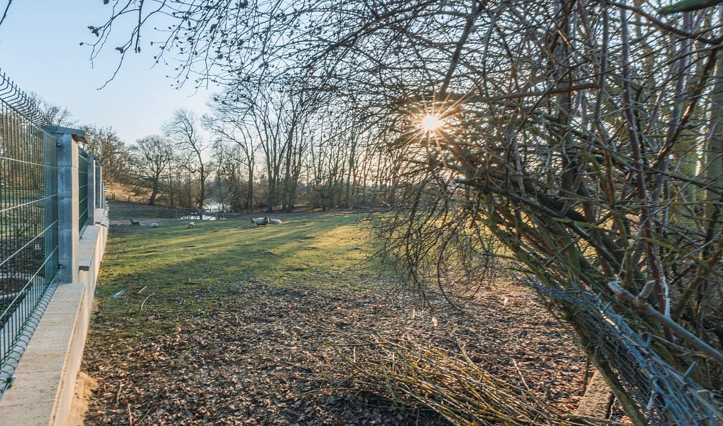 Prodej domu 89 m² s pozemkem 1 775 m², Vyšehněvice – náhled fotky 42
