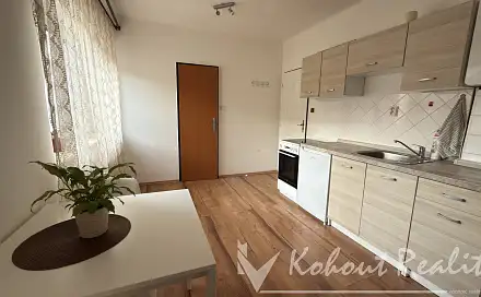 Pronájem bytu 1+1 40 m²