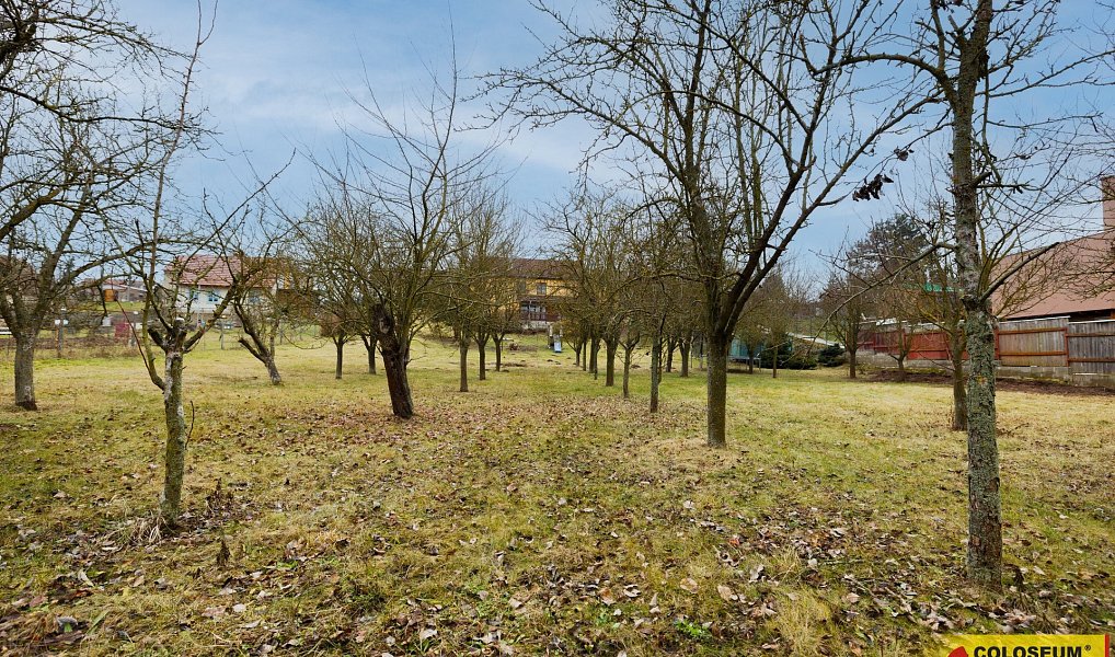 Prodej domu 270 m² s pozemkem 2 240 m², Valtice – náhled fotky 31
