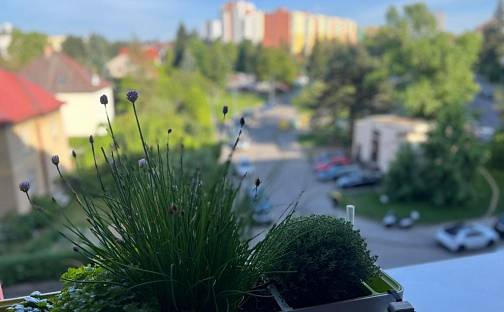 Prodej bytu 1+1 40 m², Písnická, Praha 4 - Kamýk