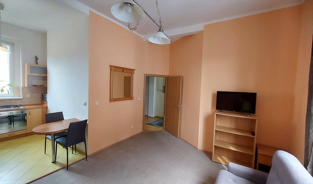 Pronájem bytu 2+kk 60 m², Karlovy Vary – náhled fotky 3