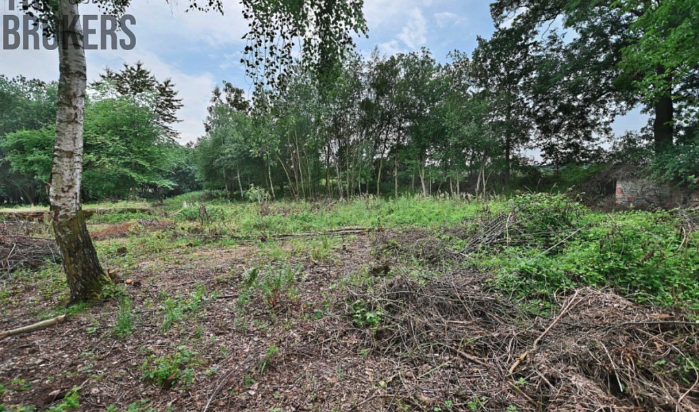 Prodej domu 5 000 m² s pozemkem 42 000 m², Zásmuky – náhled fotky 15