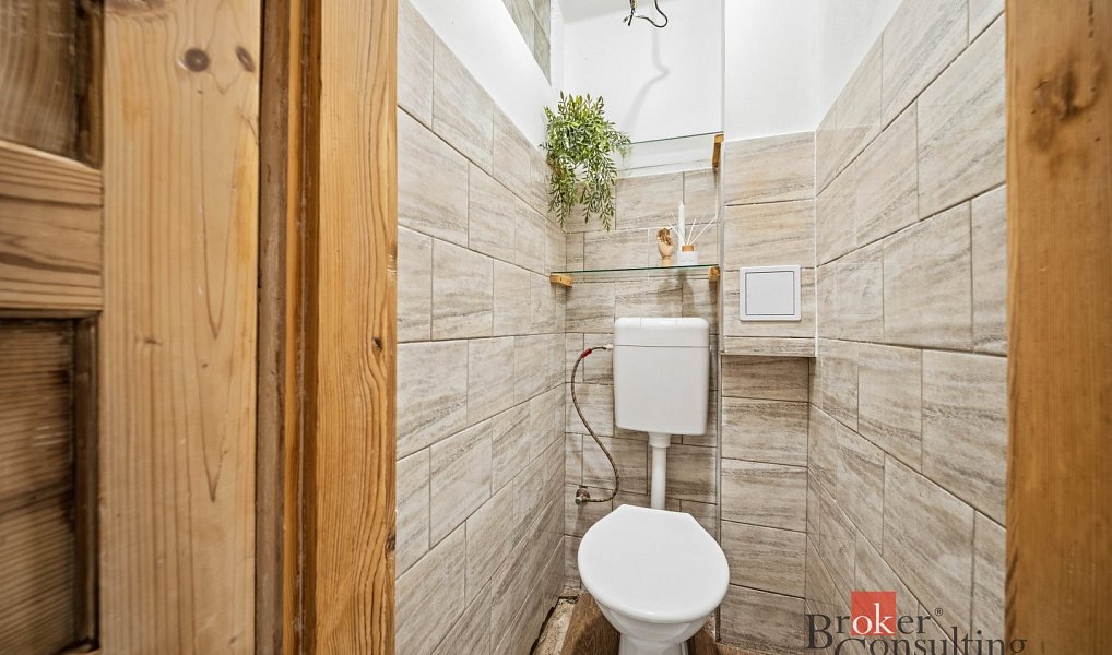 Prodej komerčního objektu (jiného typu) 200 m², Šebestěnice – náhled fotky 10