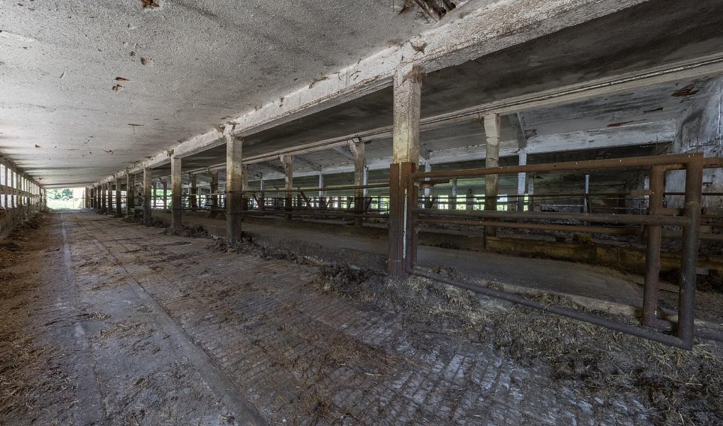 Prodej zemědělského objektu 1 400 m², Korouhev – náhled fotky 4
