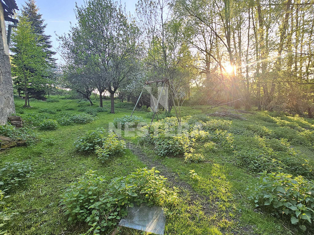 Prodej stavebního pozemku 6 496 m² – fotografie 5