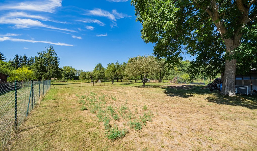 Prodej domu 130 m² s pozemkem 1 444 m², Žáky – náhled fotky 10