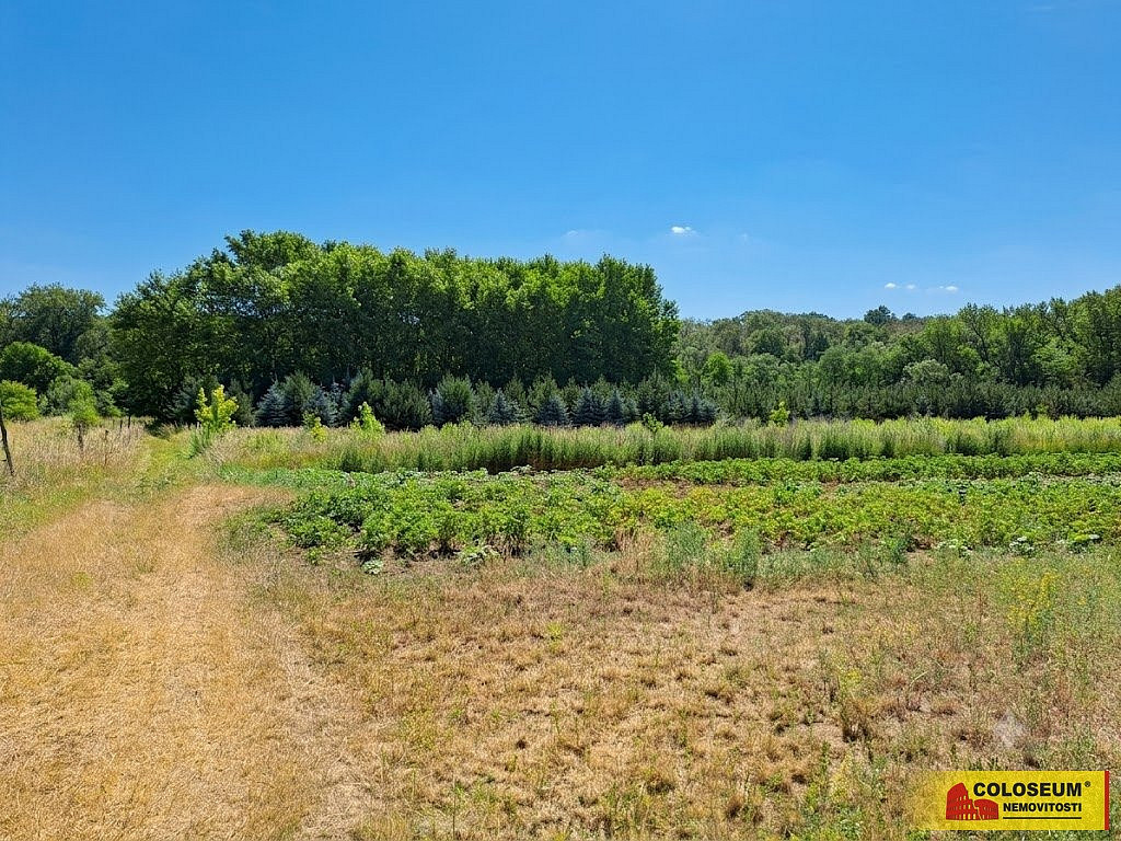 Prodej pole 5 202 m² – fotografie 5
