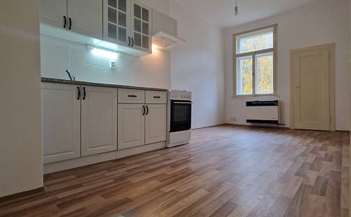 Pronájem bytu 2+kk 52 m², Slezská, Praha 2 - Vinohrady